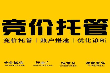 SEM托管服务案例：实现精准营销与客户转化